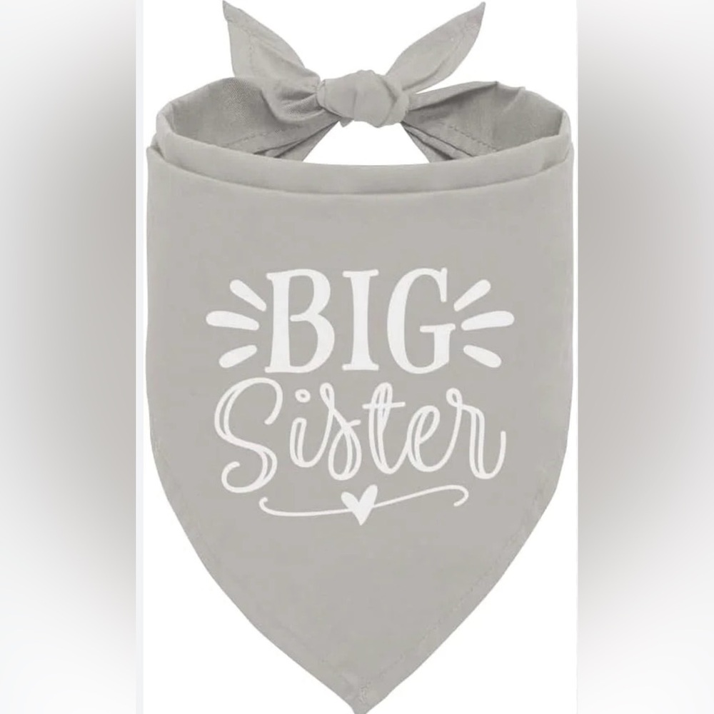 Gray 'Big Sister' Kids Bandana Bib